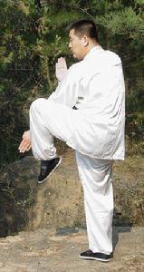 青龍出海拳 青龍出海拳