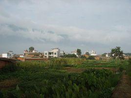 楊家寨[雲南雲南省紅河箇舊市大屯鎮楊家寨村委會]