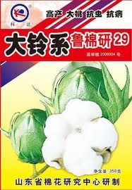 魯棉研29