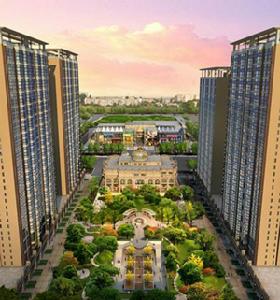 社會建設基礎 社會建設基礎