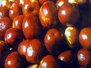 紅棗制乾 紅棗制乾