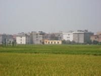 肖家邊村 肖家邊村