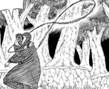 鳶[《火影忍者》中的人物]