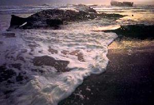 “骷髏海岸” “骷髏海岸”