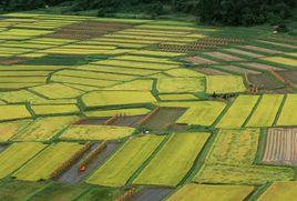土地測量 土地測量