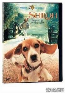 它不重,它是我寶貝 它不重,它是我寶貝