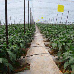 滴灌產品 滴灌產品