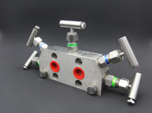 建湖閥門生產五閥組