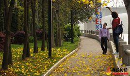 離合詩二首 離合詩二首