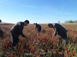葉門勒鄉 葉門勒鄉