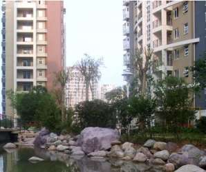 鑫苑中央花園西區 鑫苑中央花園西區