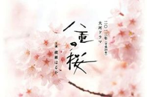 《八重櫻》 《八重櫻》