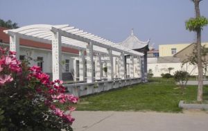 東辛農場國小 東辛農場國小