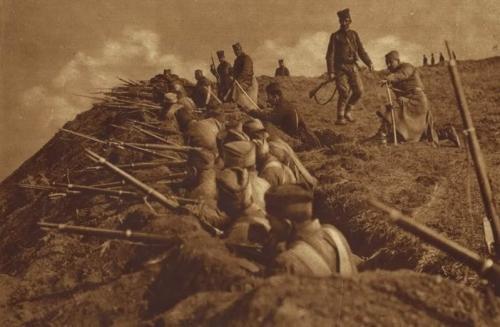 網路配圖 網路配圖