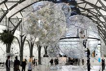 托馬斯&middot;薩拉切諾