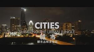 城市：都市叢林生存法則