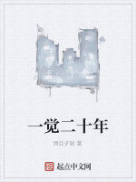 一覺二十年 一覺二十年