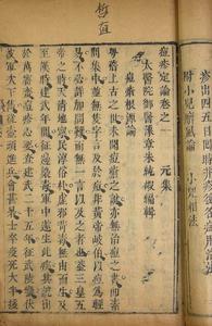 痘疹定論 痘疹定論