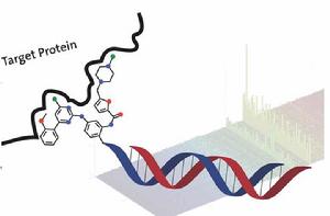 DNA編碼文庫 DNA編碼文庫