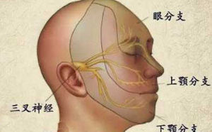 三叉神經痛與面神經疾病學