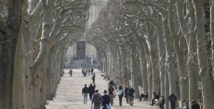 巴黎植物園 巴黎植物園