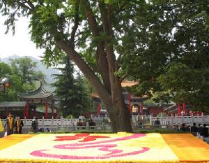 樓觀台森林公園