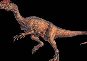 （圖）中國雙棘龍