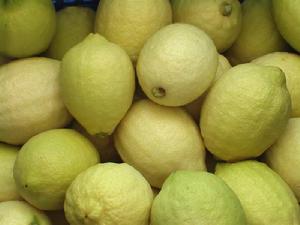 瑞麗檸檬 瑞麗檸檬