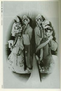 《奼紫嫣紅牡丹亭》 《奼紫嫣紅牡丹亭》