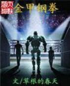 金甲鋼拳 金甲鋼拳