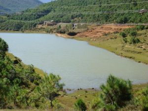 羅豐一村 羅豐一村