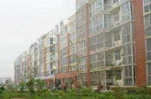 紫荊陽光地帶 紫荊陽光地帶