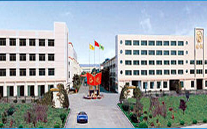 高新張銅股份有限公司