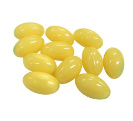 納豆激酶膠囊 納豆激酶膠囊