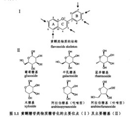 黃酮糖苷 黃酮糖苷