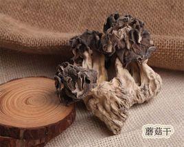 巴楚蘑菇 巴楚蘑菇