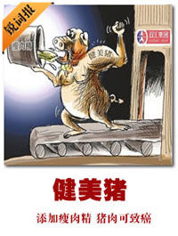 健美豬 健美豬