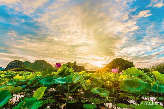 最佳旅行地!每個都是18~22℃的夏天!