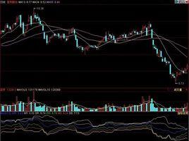 麥克指標 麥克指標