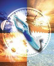 前世系統 前世系統