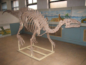 錦州義縣化石館 錦州義縣化石館