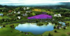 小團山香草農莊 小團山香草農莊