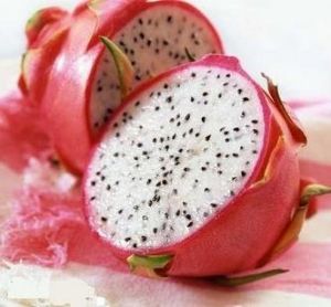 火龍果酵素 火龍果酵素