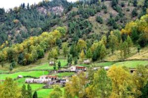 互助遊覽區 互助遊覽區