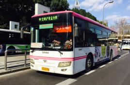 滬青盈專線 滬青盈專線