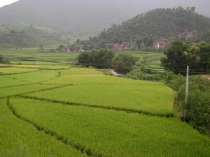 阿納哩村 阿納哩村