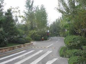 十方國際實景圖