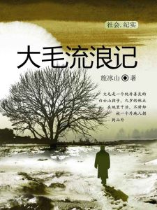 大毛流浪記 大毛流浪記