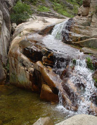 青龍滿族自治縣