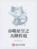 吞噬星空之天降傳說 吞噬星空之天降傳說